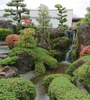 亀亀