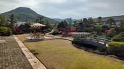 運動庭園（春）